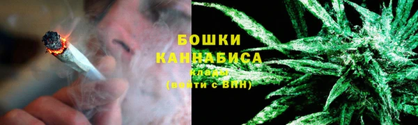 дживик Горняк