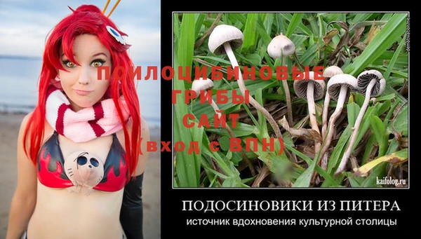 дживик Горняк