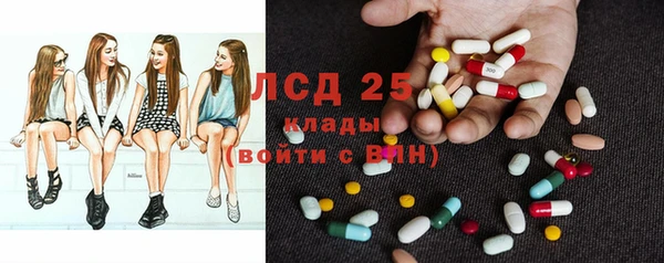 гидропоника Горно-Алтайск