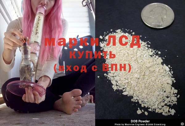 дживик Горняк
